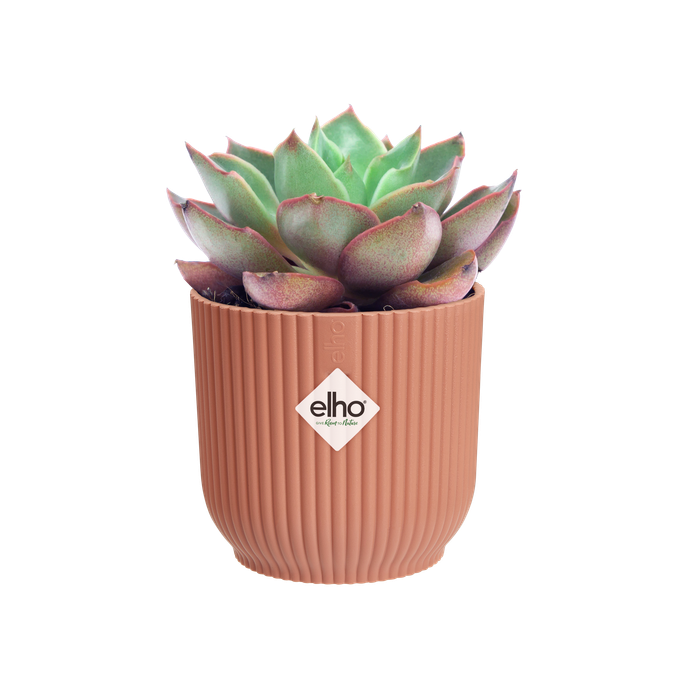 vibes fold rund mini 9cm zartrosa